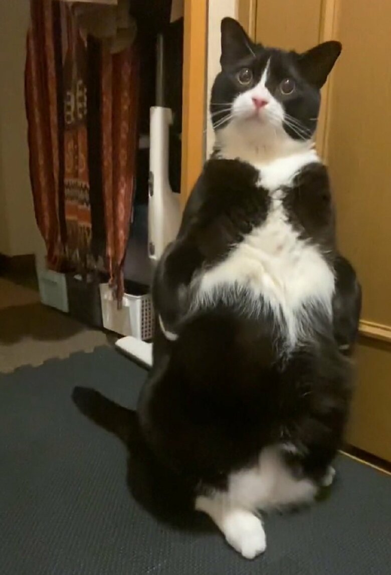 立つ時は目をまん丸にしている