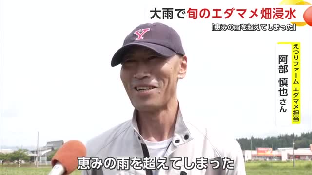 「恵みの雨を超えてしまった」と話すえつりファーム・阿部慎也さん