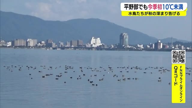 平野部でも初の10℃未満の冷え込み 湖の水鳥の群れが秋の深まり告げる(島根・松江市)