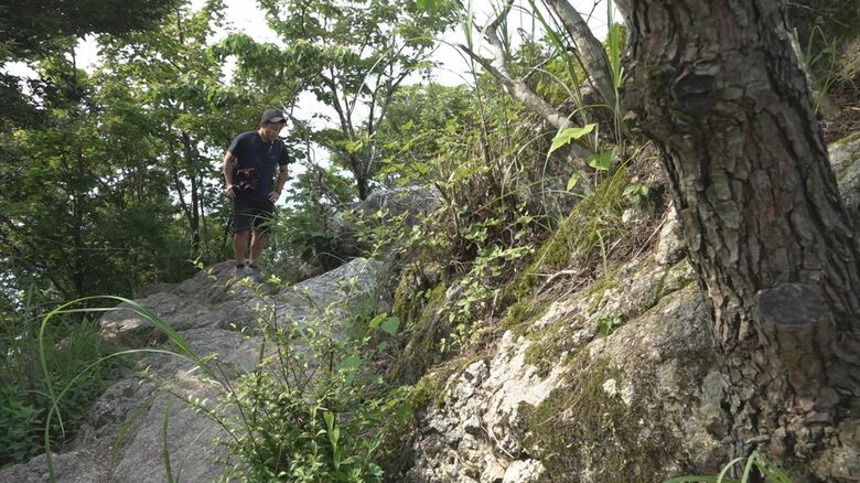 「カエルが登頂した」との情報を得て山頂に向かったが…