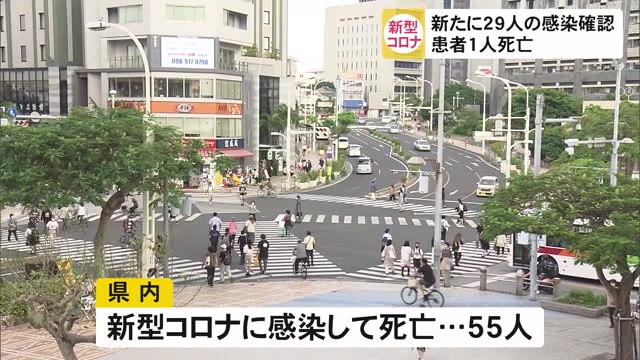 新型コロナ新たに29人の感染確認