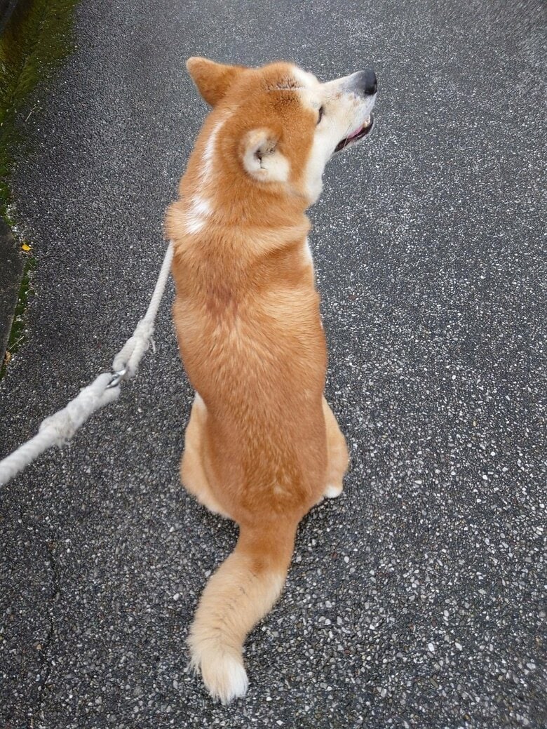 座り込んで帰宅拒否