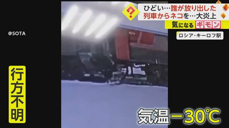 ロシア・キーロフ駅でネコのツイックスを車掌が列車の外に放り出す瞬間④