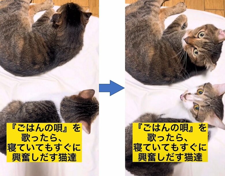 寝ている時に歌ってもすぐさま反応