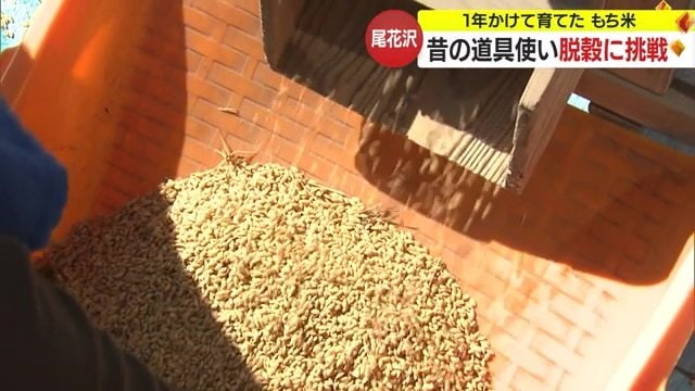 子どもたちが育てたもち米