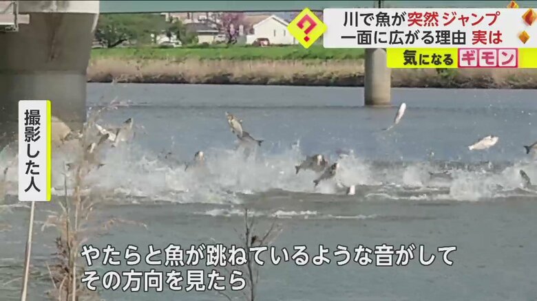 （FNN投稿サイト「ビデオPost」）