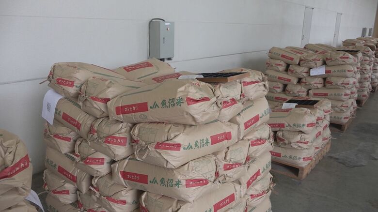 魚沼産コシヒカリ