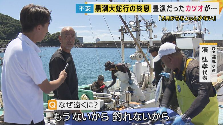 カツオが豊漁だった和歌山で異変が