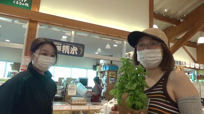 「台所に置いて植えようかなと思って」