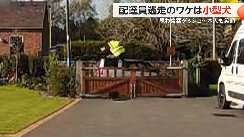 配達員が小型犬におびえて逃げ、家の門を軽々と飛び越えた瞬間（6）