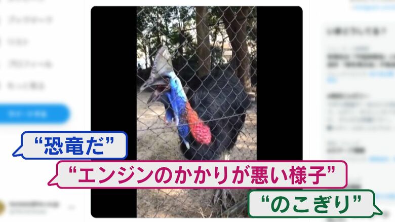 SNSではヒクイドリの鳴き声を様々なものにたとえる人も