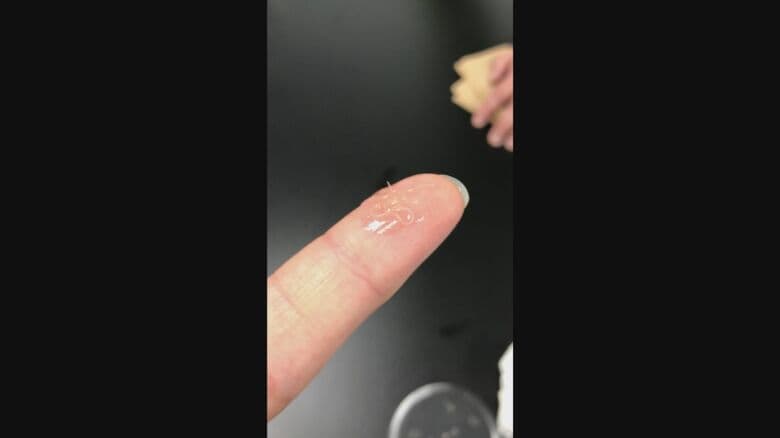 アニサキスの寄生虫　提供：宮崎大学医学部感染症学講座寄生虫学分野