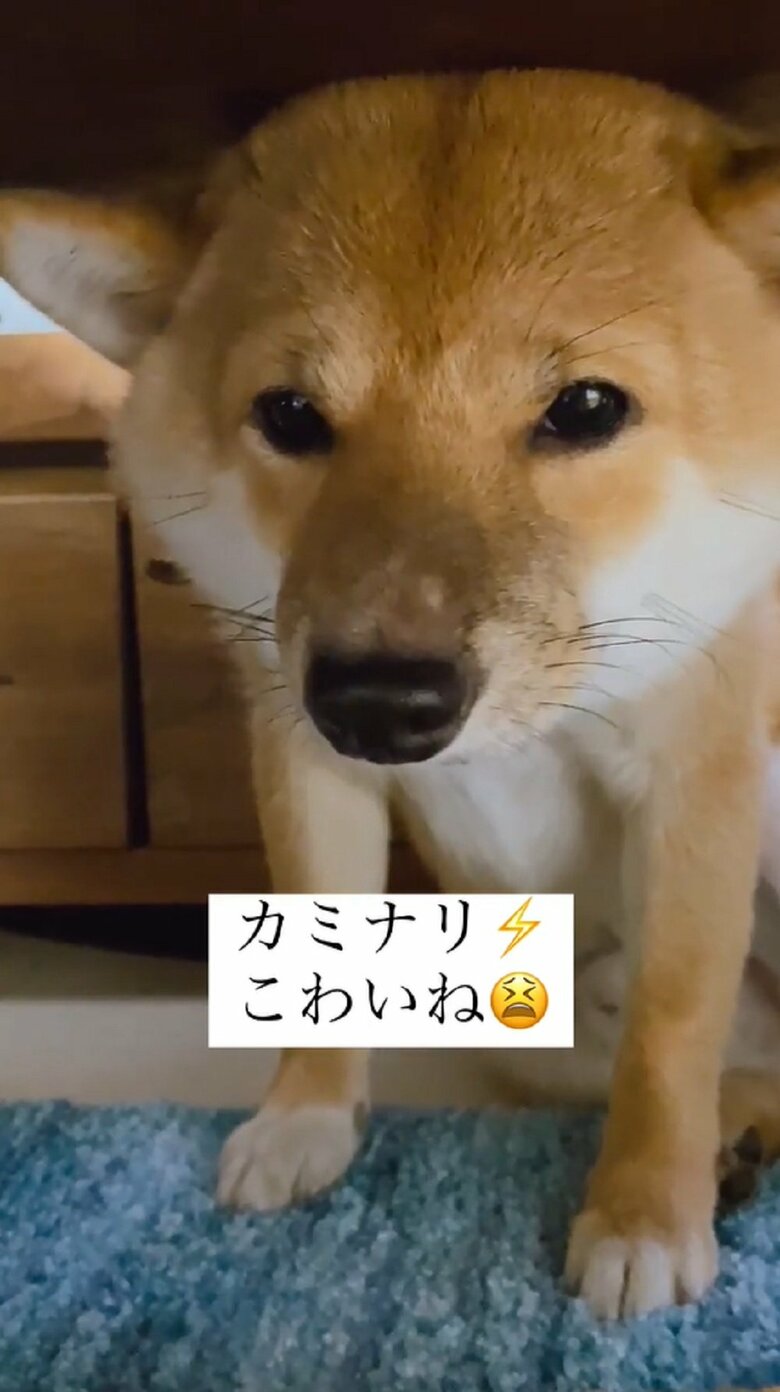 終わったかな？