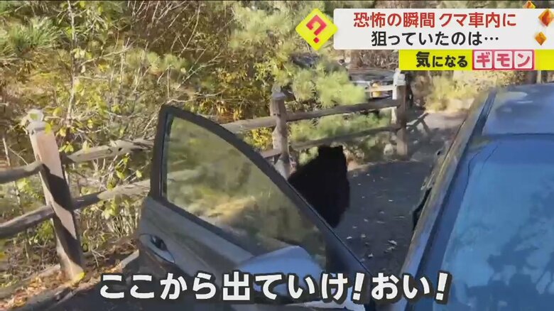 「出て行け！」と言われ、車から出ていくクマ②