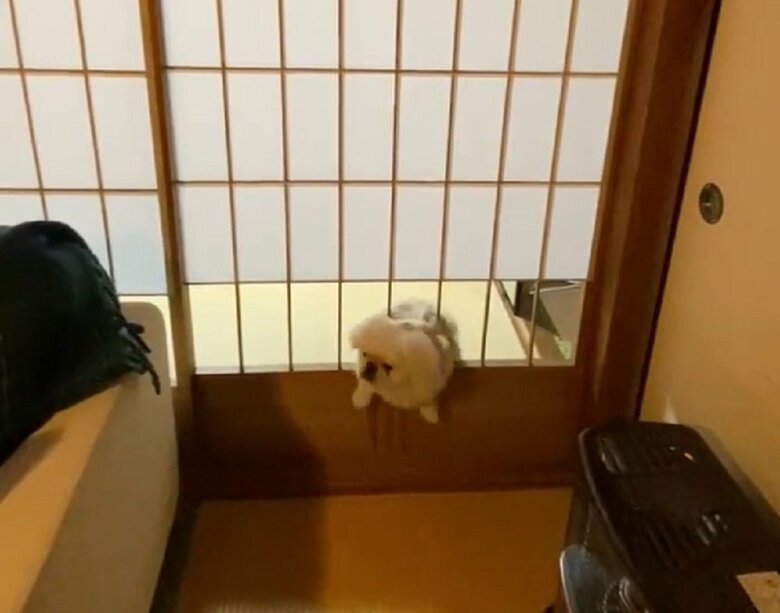 あれ？