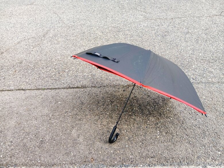 雨の日の路上では思わぬ発見も