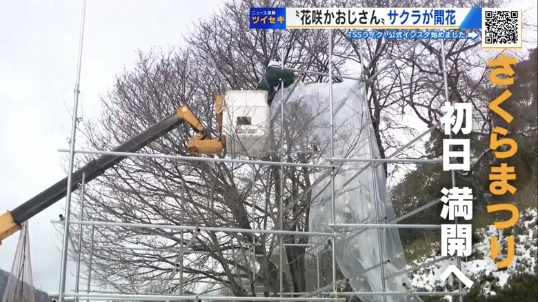 2月上旬、木をシートで覆う作業からスタート