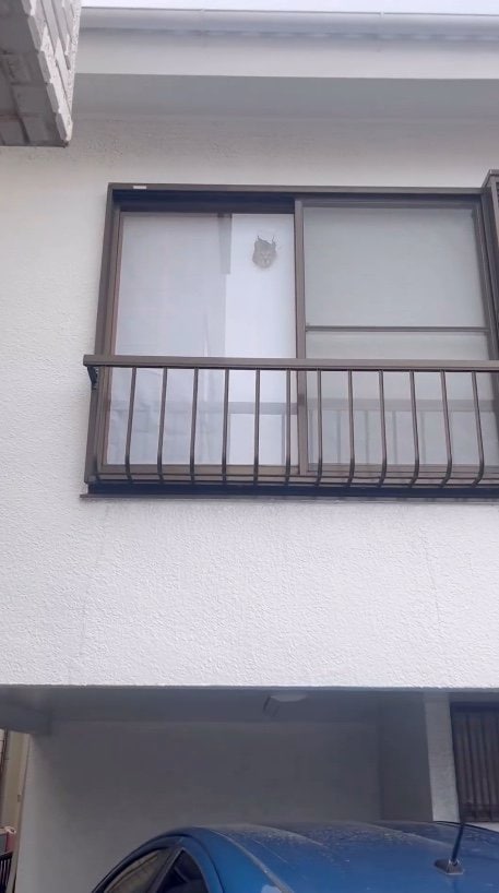 提供：ちびまるまろんさん