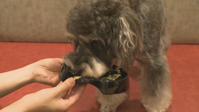 ミリオンペットの看板犬・孔明くん