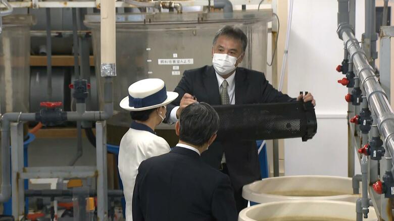 カキ種苗センター（北海道・厚岸町）