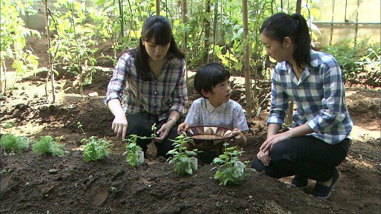 赤坂御用地内の畑を手入れされる眞子さまと佳子さまと悠仁さま