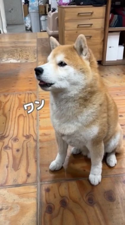 提供：エイトデザイン