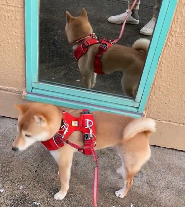 ちょっと戸惑っている様子も…