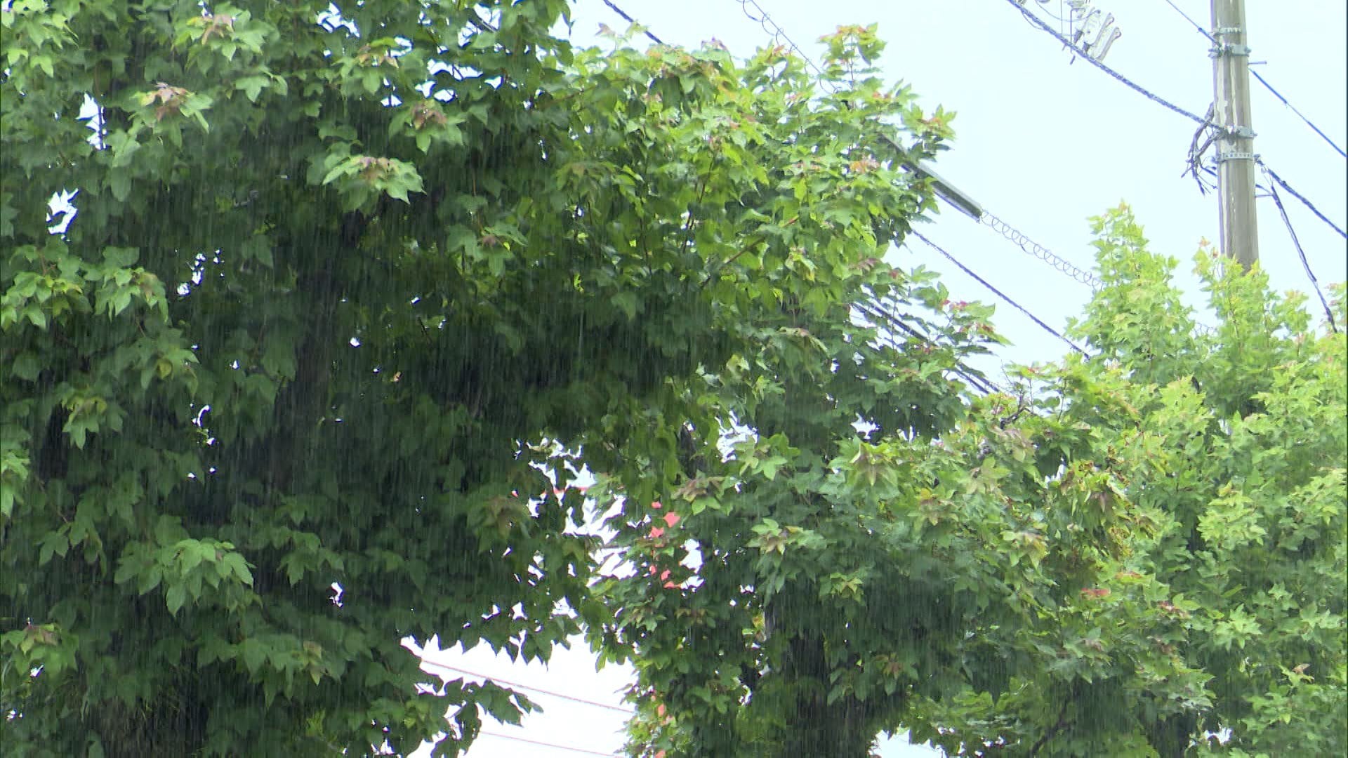 東海地方に線状降水帯発生の可能性　低気圧発達　西日本では警報級の大雨予報