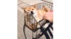 くつろぎすぎの柴犬!?自転車カゴに顔押しつけスッポリ…飼い主に状況…
