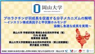 【岡山大学】プロラクチンが羽成長を促進する分子メカニズムの解明~インスリン様成長因子と甲状腺ホルモンが協働し急速な成長を実現~