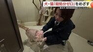 殺処分ゼロへ…“急がない譲渡”でイヌやネコの家族探し「やっぱりいらない」を防ぐマッチングを（鳥取）