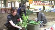 熊本大学のシンボル・赤レンガの『雨庭』整備へ 学生が仕上げ作業