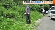 世界遺産『佐渡島の金山』構成遺産で草刈り作業　西三川砂金山のシンボル“虎丸山”を覆う雑木は今後伐採へ　新潟