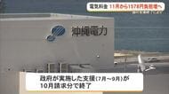 相次ぐ値上げ…今度は電気代　国による支援終了、11月から月1578円増