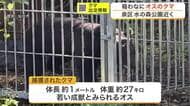 仙台市泉区の水の森公園近くでクマ１頭を捕獲し駆除　市は他にも複数いる可能性があるとして警戒呼びかけ
