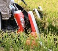 コメ農家の廃業・倒産、4年連続で30件超え　米価上昇でも「撤退」高水準