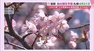 最速記録タイか 札幌市の桜の開花予想は4月21日…花見の“飲食自…