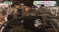 長崎の水産業の未来は明るい!?ゴミの焼却熱をいずれ陸上養殖に利用?長与町の職員が視察