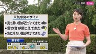 林田雪菜の天気予報 天気急変のサインとは?【熊本】