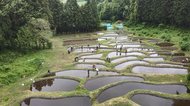 貴重な風景を守るため…存続が危ぶまれた金山棚田を若者が引き継ぐ【岩手発】