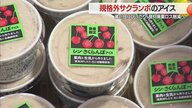 一口食べると新鮮なサクランボの甘みが広がる！　果肉30％以上のフレッシュなアイス発売・規格外の食材廃棄ロス削減【山形発】