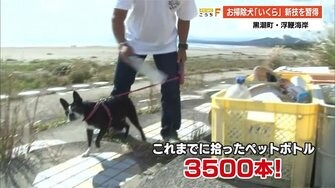 fnnプライムオンライン