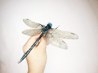 fnnプライムオンライン