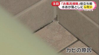 fnnプライムオンライン