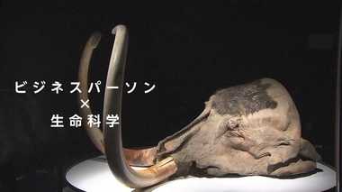 絶滅したマンモスが教えてくれるビジネスパーソンが「生命科学」を学ぶ意義