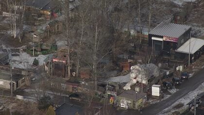 【閉園決定後に妊娠か】ノースサファリで“ライオンが双子出産”＿256匹の動物の移転先探しは難航中…札幌市関係者「数を減らさなくてはいけないのに…」ノース側は「意図的ではない」〈北海道札幌市〉