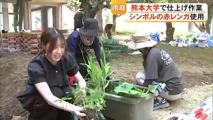 熊本大学のシンボル・赤レンガの『雨庭』整備へ 学生が仕上げ作業