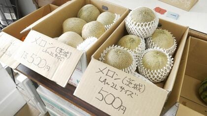 【家計のミカタ】トマト1キロ200円＆大玉スイカ1200円…規格外で廃棄される“ハネもの”を格安販売 フードロス対策にも…1キロ250円の冷凍タマネギの仕入れ先は“焼き鳥専門店“ そのワケは？