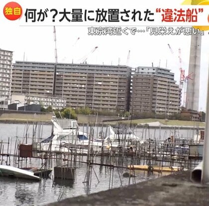 「船の墓場」が旧江戸川に…“水上の駐車違反”や無許可桟橋設置まで「もう無法地帯」洪水や火災の危険性に不安の声