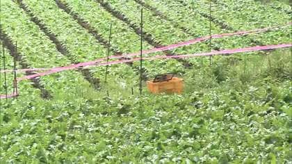 栃木・那須塩原市で70代男性がクマに襲われけが　周辺では目撃相次ぐ…警戒強化へ